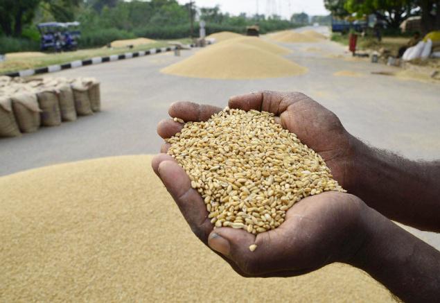 hugeincreaseinpaddyprocurementincurrentkharifseason